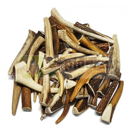 Antlers for dogs Antler dog chews